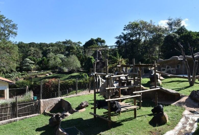 Parque Ecológico promove caça aos ovos com diversão e educação ambiental
