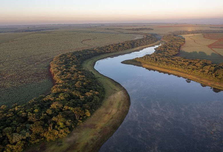 Estudo da UFSCar aponta mudanças nas áreas de mata ciliar em São Paulo ao longo de quase 40 anos