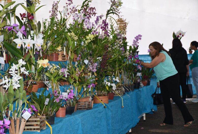 61ª Exposição Nacional de Orquídeas acontece de 24 a 26 de abril na Praça da XV