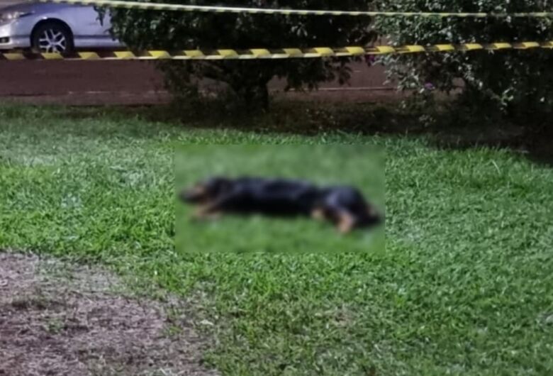 Guarda Municipal atira em cão após ataque para salvar animal em Ibaté