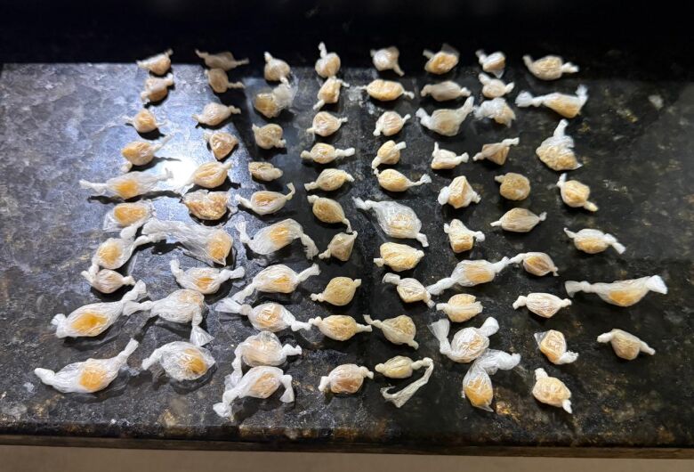 Homem é preso pela PM ao tentar descartar crack de ônibus na SP-215 em Dourado 