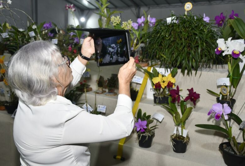 Exposição de Orquídeas reúne mil plantas e encanta visitantes em São Carlos