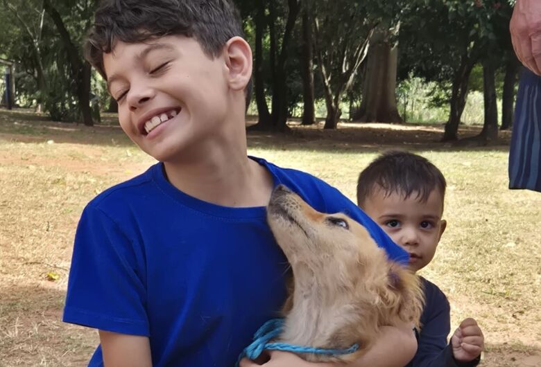 Feira de adoção no Canil Municipal ajuda seis animais a encontrarem um lar
