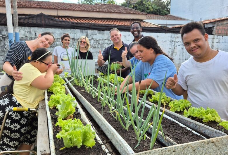 Rotary Club de São Carlos Pinhal implanta horta inclusiva na APAE e promove aprendizado e autonomia