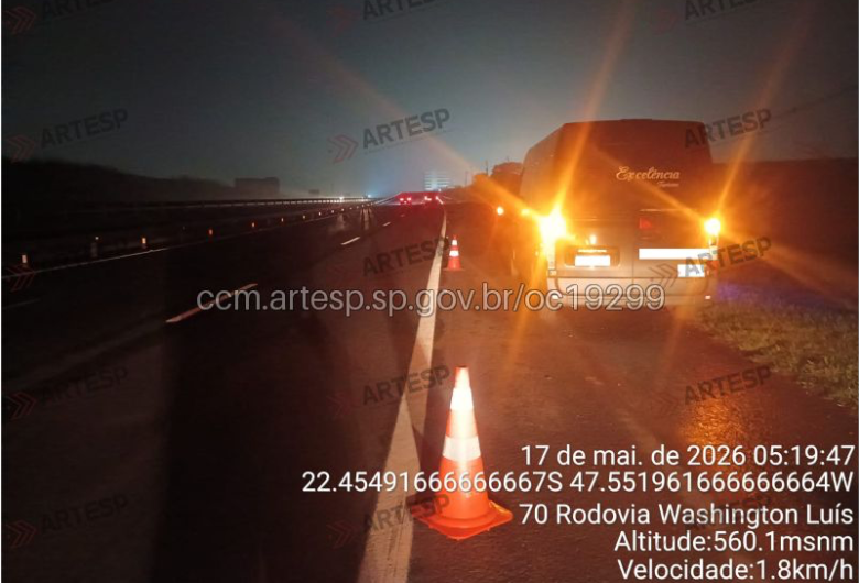 Van atropela capivara na rodovia Washington Luís 