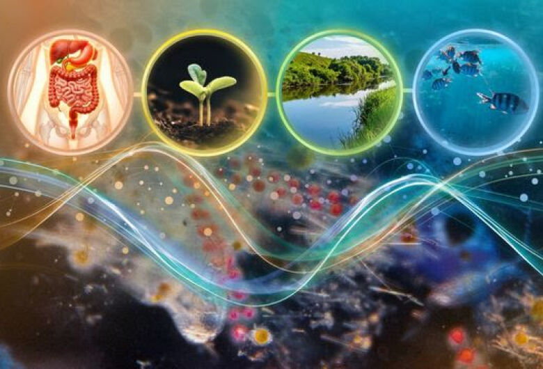 Estudo liderado pela UFSCar comprova teoria ecológica clássica sobre competição entre microrganismos
