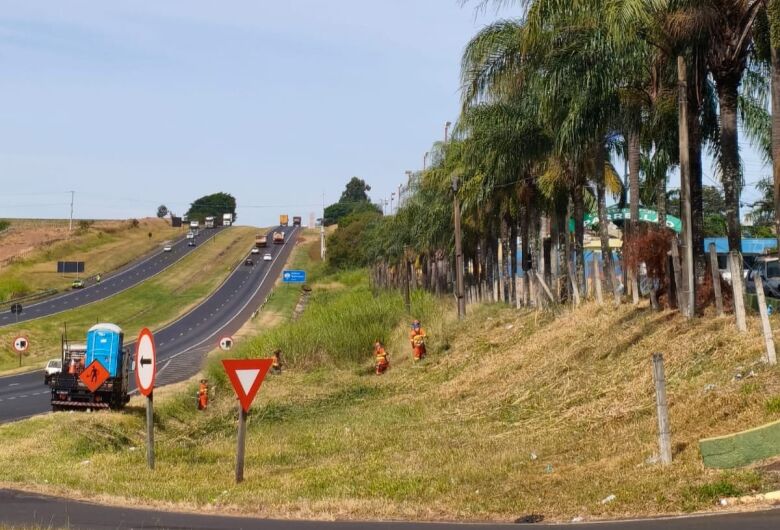 Após cobranças da Prefeitura, concessionária realiza limpeza às margens da Washington Luís em Ibaté