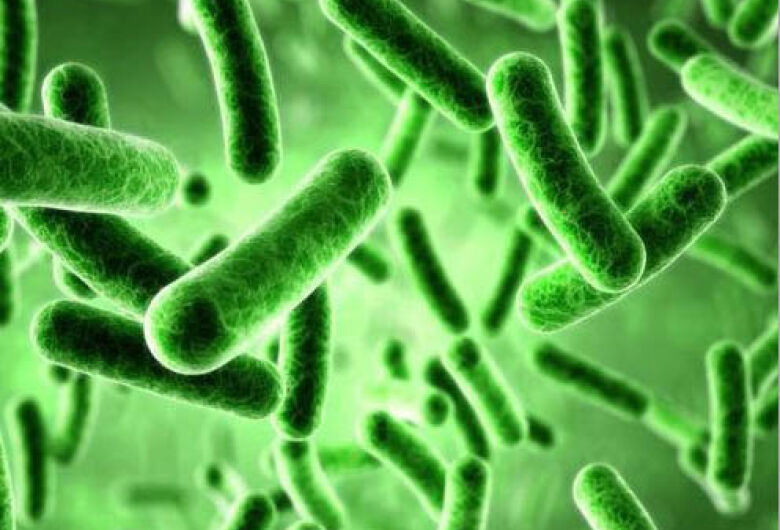 Produção de alimentos funcionais Resíduos agrícolas podem ganhar nova utilidade