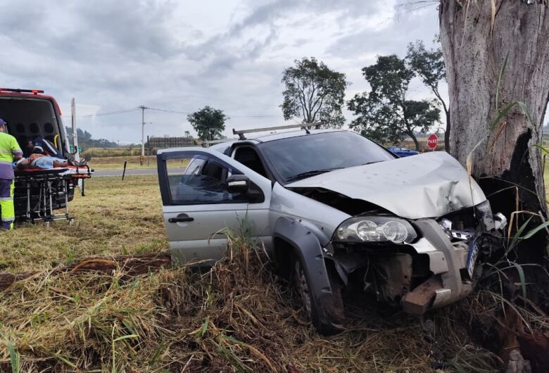 Motorista perde controle e colide contra árvore às margens da SP-215