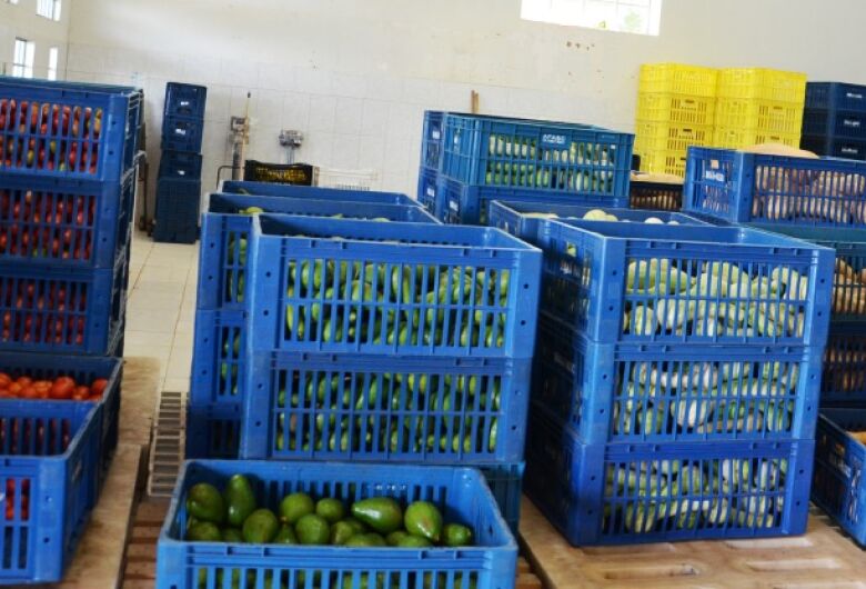 Banco de Alimentos da Secretaria de Agricultura e Abastecimento será reformado