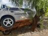 Carro ficou enroscado em árvore após capotar no Botafogo
