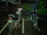 As motos furtadas foram apreendidas pela Força Tática