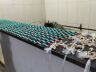 A droga que estava em poder com a suspeita na Vila Jacobucci