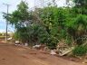 Terrenos abandonados causam indignação de moradores do Jardim Hikare