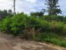 Terrenos abandonados causam indignação de moradores do Jardim Hikare