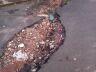 Crateras tem tirado o sossego de moradores no Aracy
