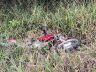 Moto foi arremessada à distância e se imobilizou em meio a um matagal