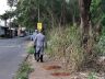 Bombeiros realizando buscas e a foto da enfermeira no detalhe