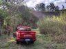 Bombeiros realizando buscas e a foto da enfermeira no detalhe