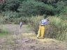 Bombeiros realizando buscas e a foto da enfermeira no detalhe