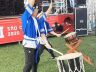 Matsuri