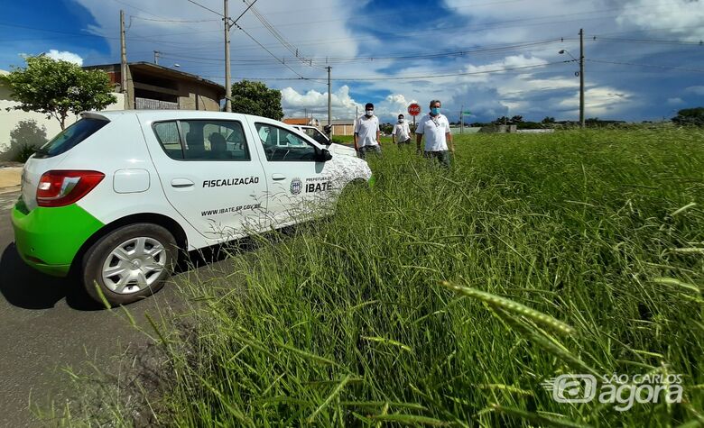Equipe de Fiscalização da Prefeitura de Ibaté faz inspeção em terreno com mato alto no bairro Domingos Valério - Crédito: divulgação