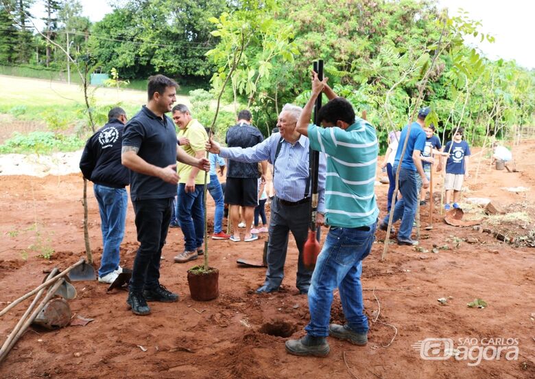 São Carlos está entre as três cidades do Brasil reconhecidas pela ONU por ações de arborização urbana - Crédito: Divulgação