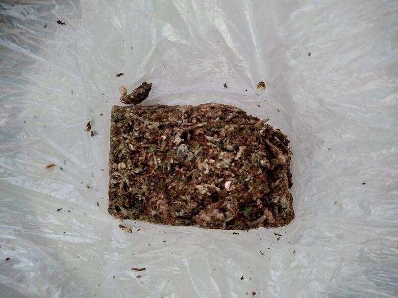 Adolescente carregava um tijolo de maconha que foi apreendido pela PM - Crédito: divulgação