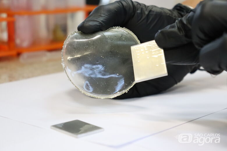 Biomaterial poderá ser empregado como filme para revestir a superfície de um implante ou ainda ser utilizado como membrana para curativos de feridas crônicas - Crédito: Henrique Fontes