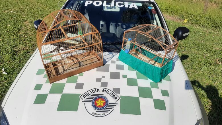 Dois pássaros silvestres são apreendidos no Jardim dos Coqueiros -