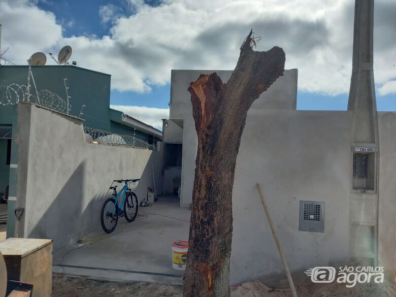 Morador é multado pela Polícia Ambiental após realizar poda drástica de árvore no Cidade Aracy - Crédito: Colaborador SCA