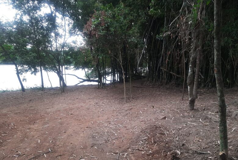 Área onde a vegetação foi destruída - Crédito: colaborador
