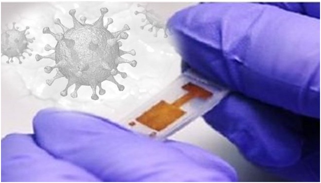 As pesquisas e o desenvolvimento de biossensores para teste diagnóstico do Corona Vírus – Covid 19 de forma rápida, simples, portátil e de baixo custo, ampliando a aplicação de biossensores na medicina e na solução de problemas que põe em risco a vida hu - Crédito: divulgação