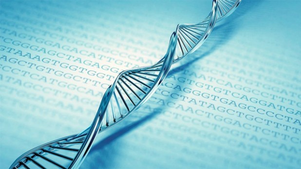 Exame de DNA pode ser feito em parentes do suposto pai - Crédito: divulgação