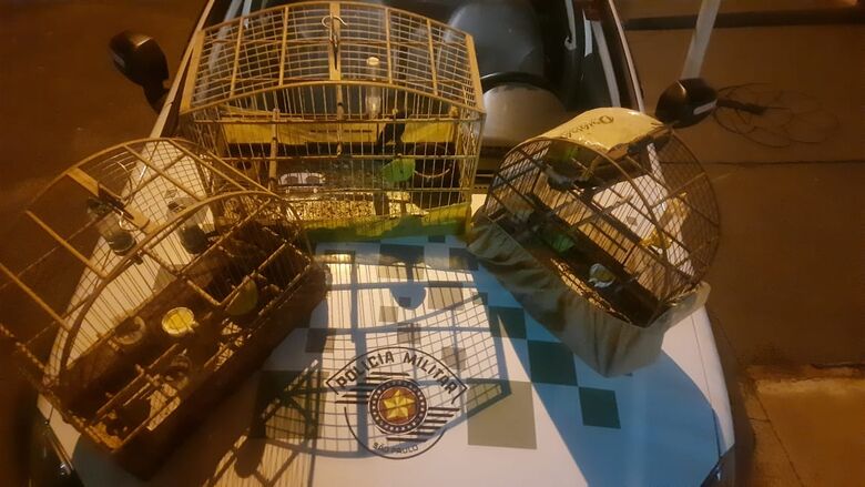 Polícia Ambiental faz apreensão de aves em Ibaté -