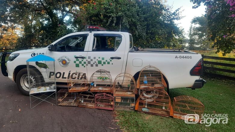 Doze aves silvestres eram mantidas em cativeiro no Cruzeiro do Sul - Crédito: Divulgação
