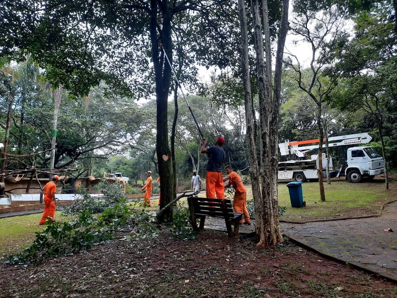 Confira o cronograma de trabalho da Secretaria de Serviços Públicos -