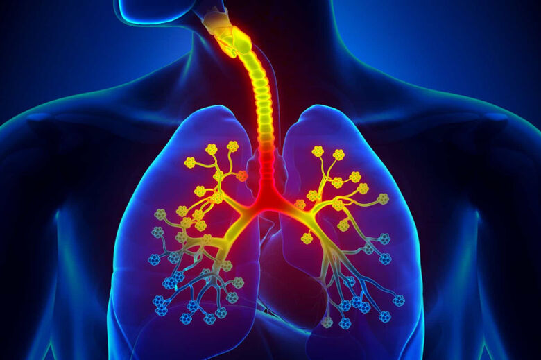 Os benefícios das vacinas pneumocócicas em tempos de pandemia - Crédito: divulgação