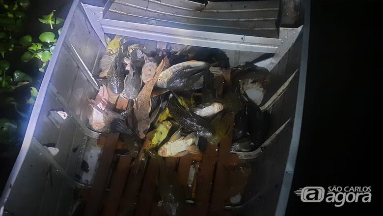 Peixes foram devolvidos ao rio - Crédito: divulgação/PMAmb