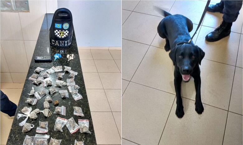 A droga abandonada foi apreendida pela GM - Crédito: divulgação