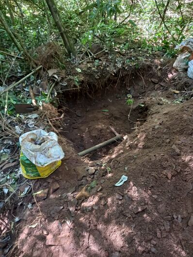Flagrante do corte de vegetação nativa para extração de ferro do solo - Crédito: Divulgação