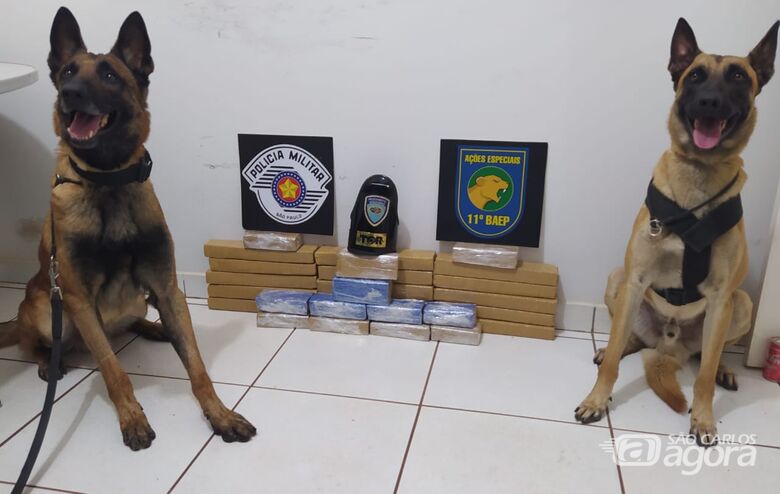 Polícia encontra drogas em veículo durante abordagem no pedágio de Guatapara - 