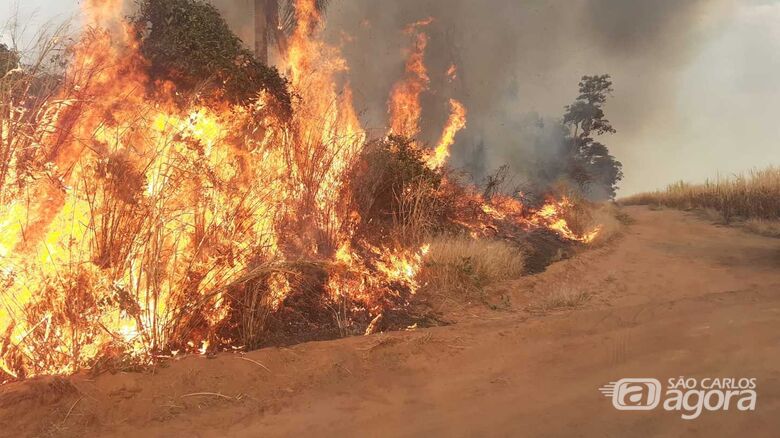 Corpo de bombeiros atende várias ocorrências de queimadas em São Carlos - Crédito: Whatssapp SCA - (16) 99633-6036
