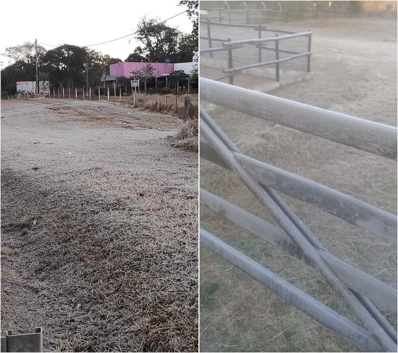 São Carlos registra geada na manhã desta terça-feira - Crédito: Whatsapp SCA - 99963-6036