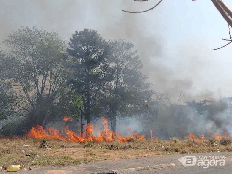 Queimadas em São Carlos, - Crédito: Arquivo/São Carlos Agora