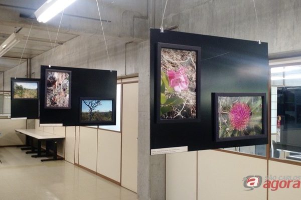 Antes da pandemia, as exposições presenciais chamavam a atenção da comunidade - Crédito: Divulgação