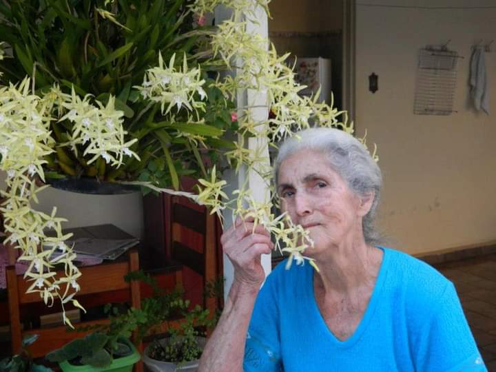 Funerária Terezinha de Jesus informa nota de falecimento - Crédito: Divulgação