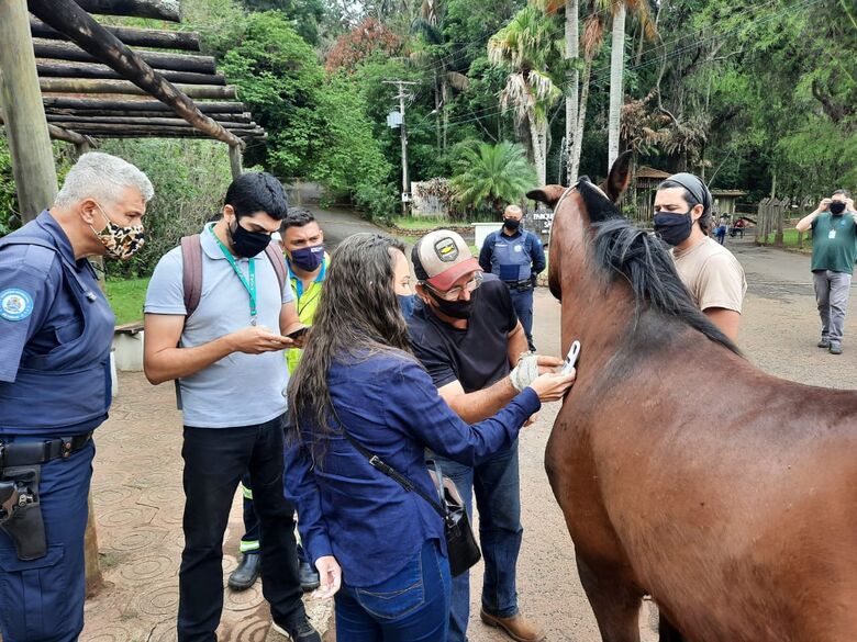 Treinamento procurou passar informações importantes para que realiza resgate de animais - Crédito: Divulgação