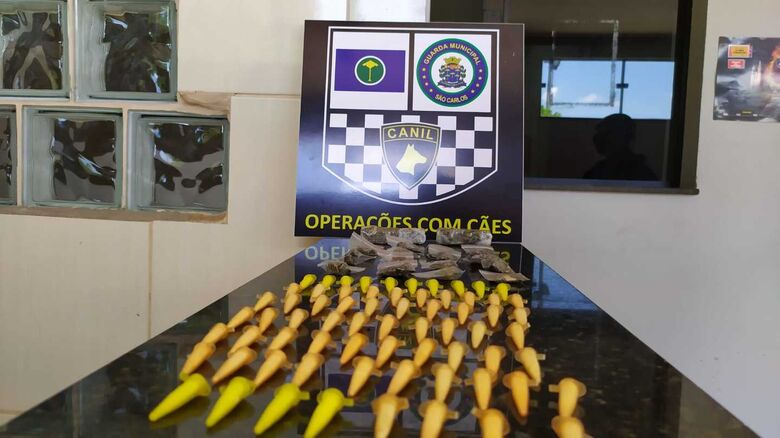 A droga que foi encontrada pela cachorra Naja, da GM - Crédito: Maycon Maximino