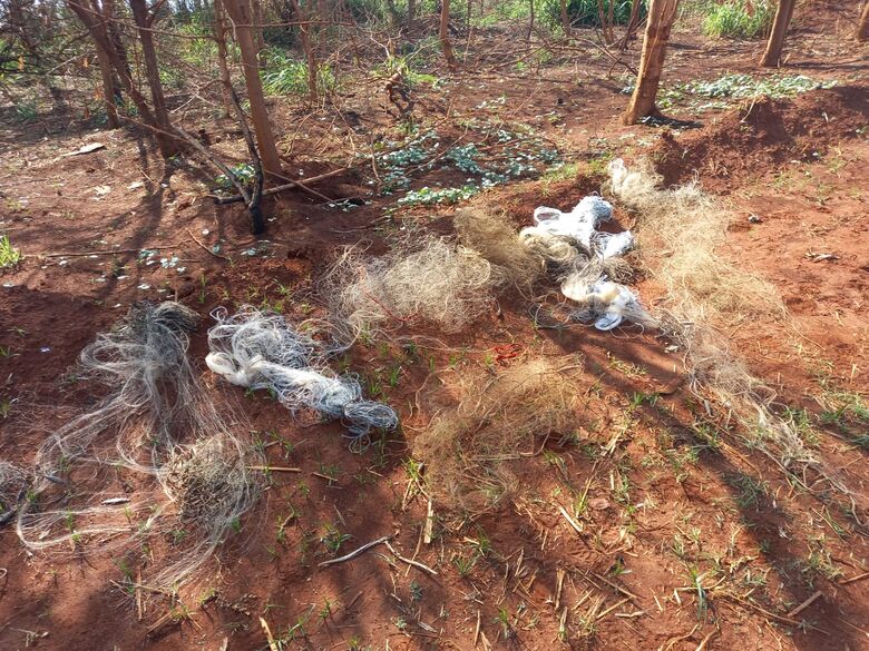 Trio é flagrado praticando pesca ilegal na Usina Tamoio -